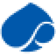 Capgemini logo